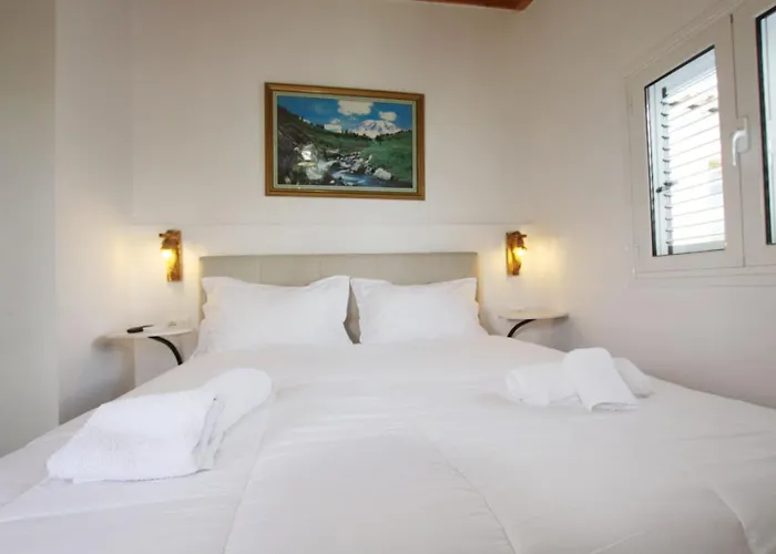 Hotel Buzi